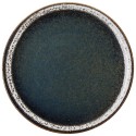 6 ASSIETTES PLATES 27CM BLOOM BLUE AND BROWN