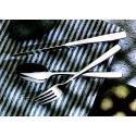 Lot de 12 fourchettes de table ATLANTIS
