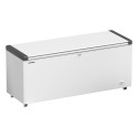 EFL 6055-CONSERVATEUR COFFRE PRO 542L