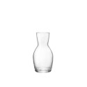6 CARAFES A VIN 100CL YPSILON
