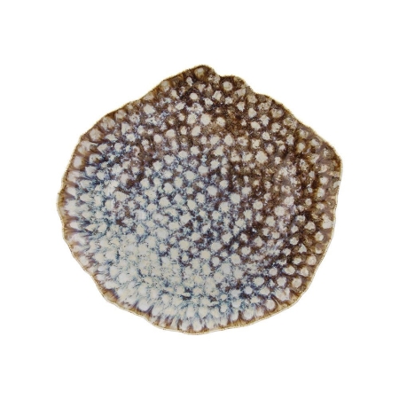 6 ASSIETTES PLATES CM32X30 REEF MARINE